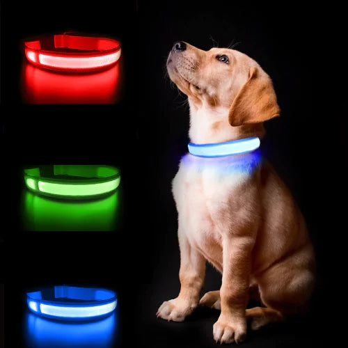 Never lose sight of your furry friend with our LED Air Tag Dog Collar! Stay connected and stylish with this innovative collar featuring built-in LED lights and an Air Tag holder. Keep your pet safe and visible during nighttime walks while adding a touch of tech-savvy flair. 