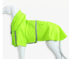 Spring and Summer Dog Raincoat